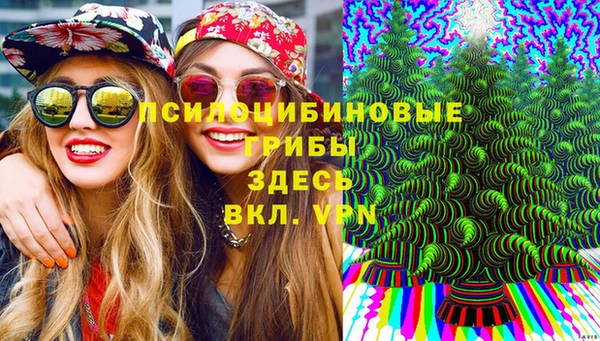 spice Арсеньев