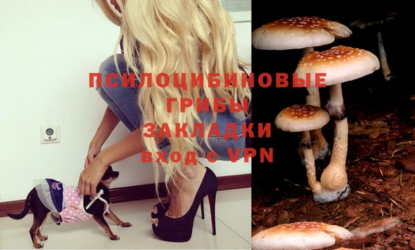 соль курить ск Аркадак
