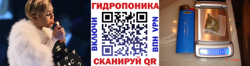 Конопля семена  купить закладку  Мичуринск 